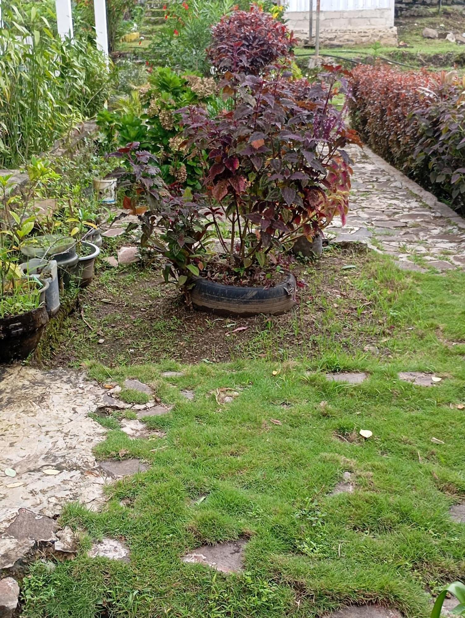 Hidayah Homestay 켈리무투 외부 사진