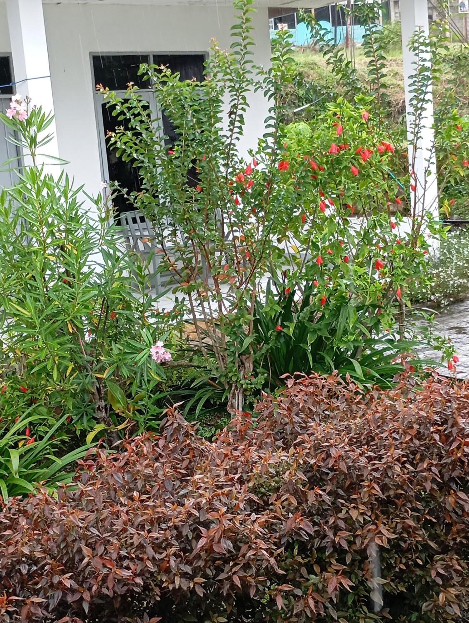 Hidayah Homestay 켈리무투 외부 사진